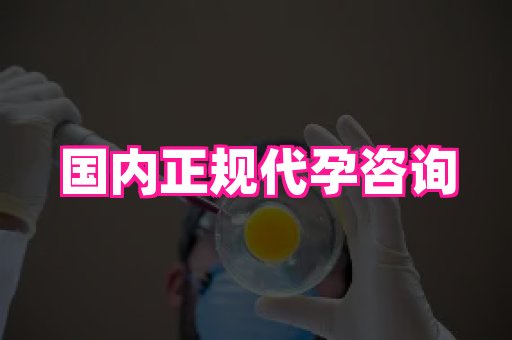 杭州助孕网 2