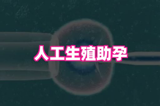 杭州助孕网 4
