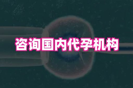 杭州助孕网 4